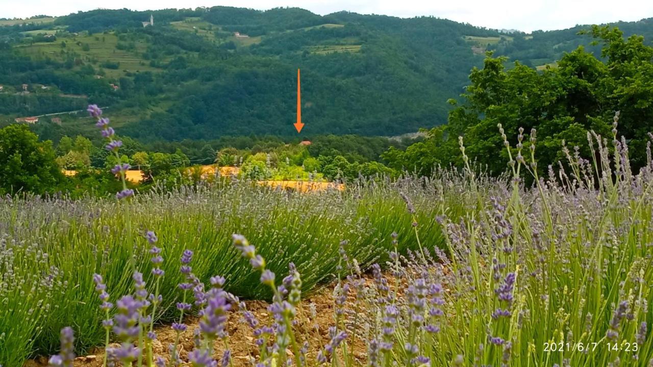 Cascina Boschetto Bed & Breakfast Saliceto Exterior photo